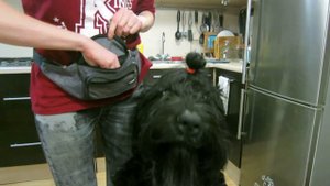 Команда Нюхай