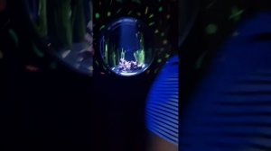 Обзор - Национальный океанариум Абу-Даби. The National Aquarium Abu Dhabi