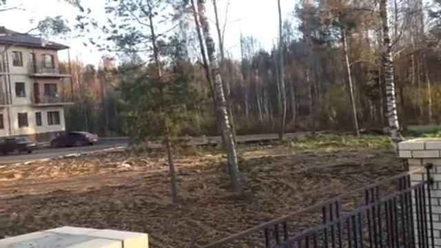 "Золотая осень" в "Черничной поляне" (октябрь 2013 года рекламное) смотреть онлайн