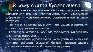 К чему снится Кусает пчела – толкование сна по Соннику