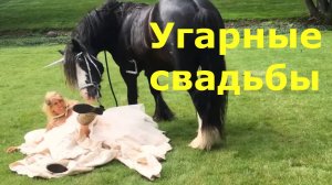 Угарные свадьбы. Церемония запомнится навсегда