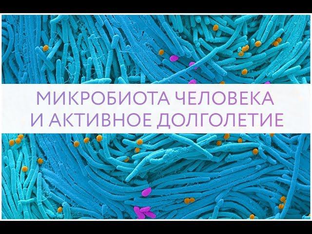 МИКРОБИОТА ЧЕЛОВЕКА И АКТИВНОЕ ДОЛГОЛЕТИЕ