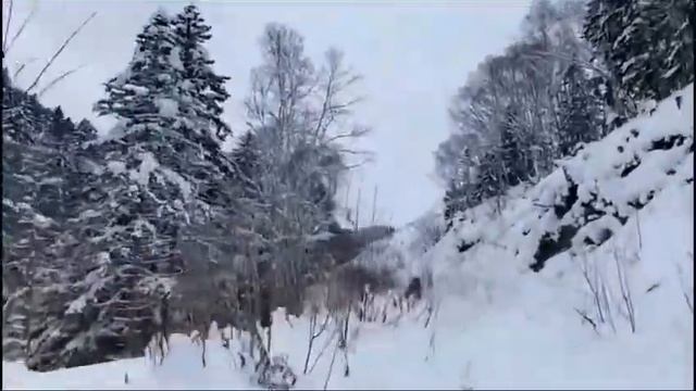 Поездка на снегоходах. 23.12.2023г смотреть онлайн