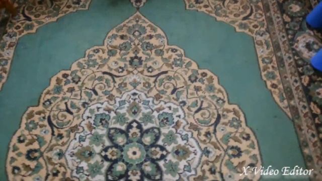 Маленькая собачка катает воздушный шарик смотреть онлайн