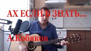 Ах если бы знать ..  А  Кобяков / кавер на гитаре