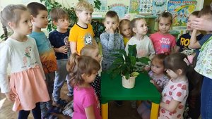 ответ на опыт "Может ли растение дышать?"