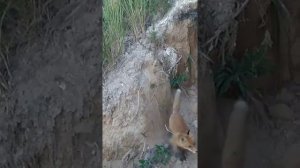 Рыбалка р. Моча