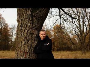 Есть в осени первоначальной ( стихи Ф. И. Тютчева )