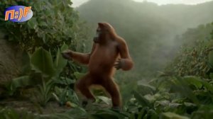 Танцующая обезьяна )))