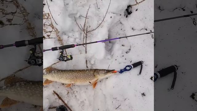 Весенняя щука смотреть онлайн