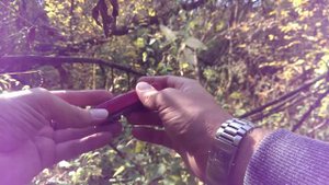 Victorinox Huntsman 2019.Обзор ножа