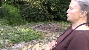 Борьба с борщевиком на участке, мой опыт.