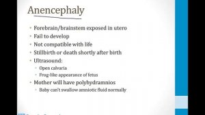 Неврология USMLE - 7. Другие темы неврологии - 3.Нейроэмбриология