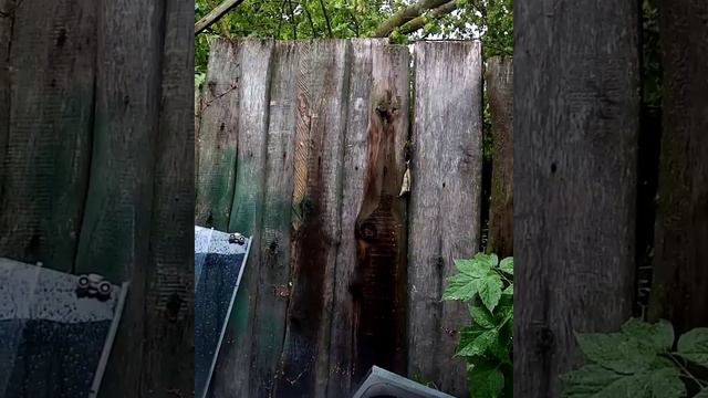 Ураган прошел в 100 от меня,а я даже не заметил. смотреть онлайн