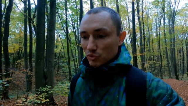 Самые ВКУСНЫЕ ГРИБЫ! Королевские опята! Много грибов в нашем лесу смотреть онлайн