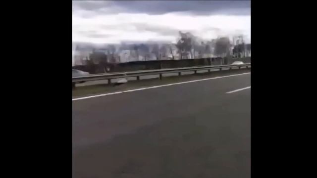 Всякое дыхание да хвалит Господа. #Православие #Христианство #Бог #Богородица #Евангелие #Молитва смотреть онлайн