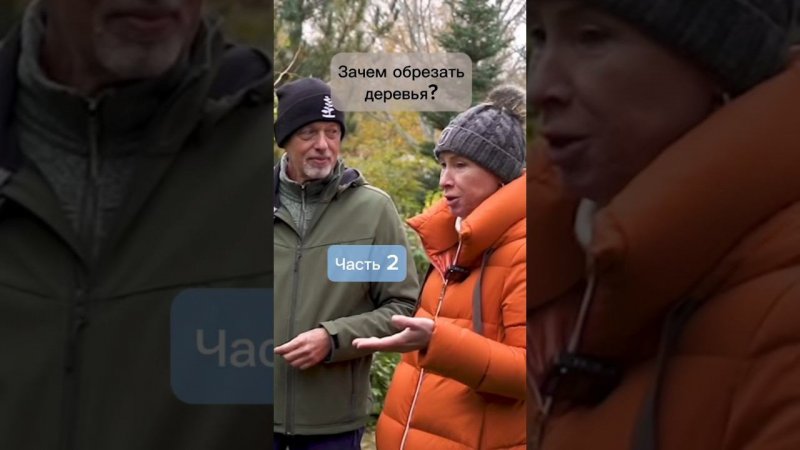 Зачем обрезать деревья? Часть 2. Разговор с Марией Никоновой. #бонсай #bonsai #ниваки #сад #обрезка