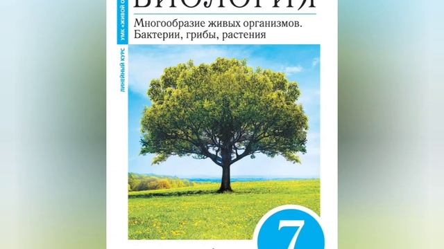 ВИДЕОУРОК ПО БИОЛОГИИ 7 КЛАСС "ЦАРСТВО ГРИБОВ" смотреть онлайн