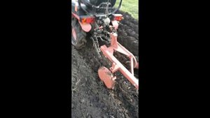 16 октября 2023, вспашка в развал двухкорпусным сморгоньским плугом