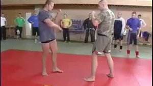 Федор Емельяненко уроки боевого самбо