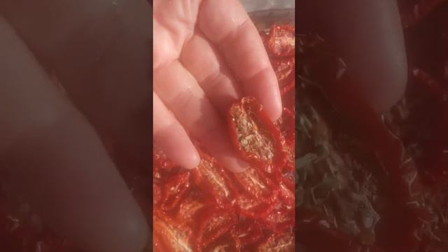 какие томаты может вялить смотреть онлайн