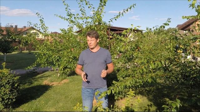 что такое пестициды гербициды фунгициды? простым языком про ЦИДЫ!!! для чего нужны гербициды смотреть онлайн