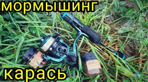 МОРМЫШИНГ , ЛОВЛЯ РЕЧНОГО КАРАСЯ !!!