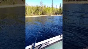 Тест лодки Корсар Комбат 360 с мотором гибрид ветерок 8