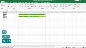 How to Filter Cells with Bold Font Formatting in Excel