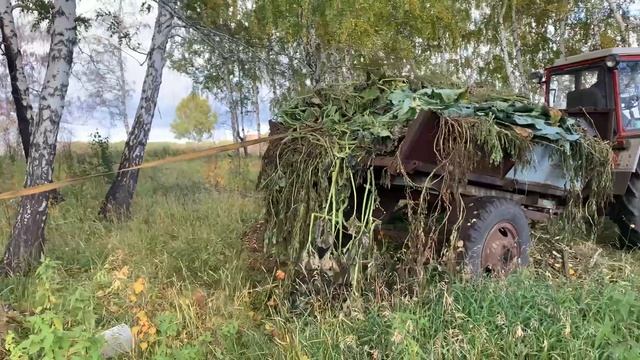 Как разгрузить тракторную телегу за 1 минуту? Трактор Т30а80, лайфхак смотреть онлайн