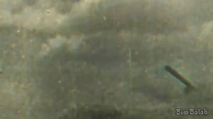 Battle of Kursk ~ WW2 Edit