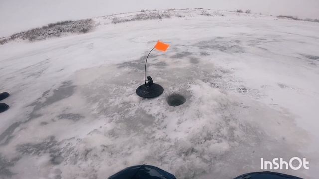 Рыбалка на живца в середине зимы. смотреть онлайн