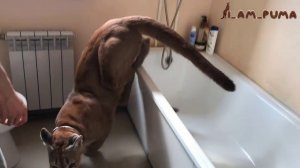История одних посиделок. Seated on the pot :-)