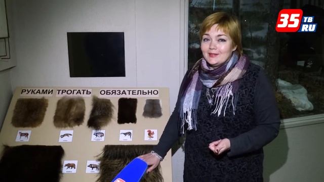 Потрогать мех диких животных можно в Вологодском музее заповеднике