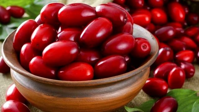 Кизил - полезные свойства ягоды смотреть онлайн