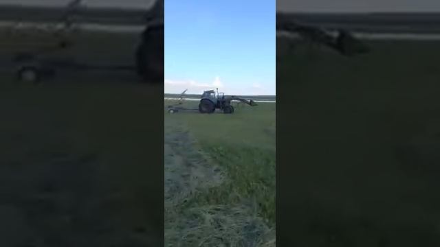 Грабли "Беляевские"ГВВ6-2ГЦ-9К, видио КФХ Семёнова И.Р. смотреть онлайн