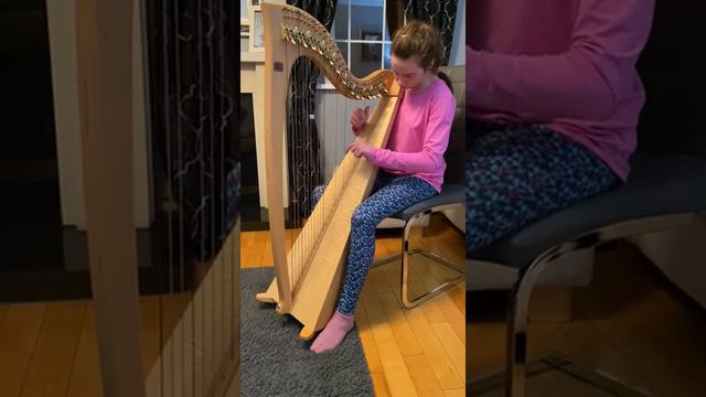 Barndance memory played by Aobh Nolan from The Carroll School of Harp, N.Ireland