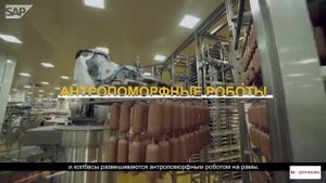 Робот-завод Группы компаний "Черкизово"