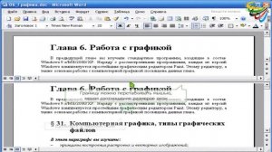 68 Вывод копии окна документа в Word