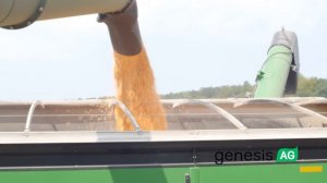 Kevin Matthews No-Till Farmer North Carolina Corn Harvest  - Genesis Ag