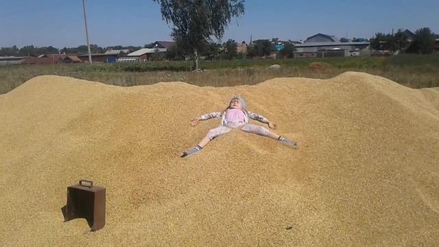 Новый урожай зерна. Овес