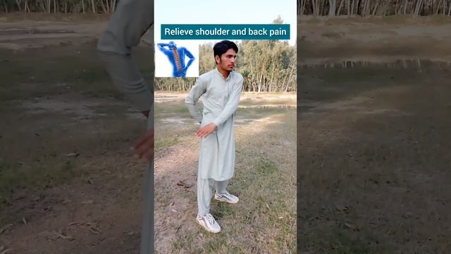 Taichi Exercises Wudang Zidong смотреть онлайн