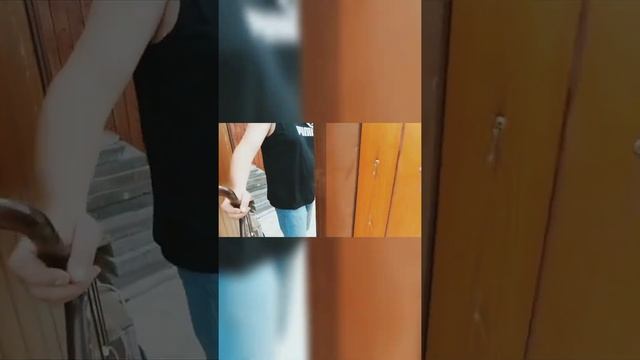 Тест охраны территории тибетский мастиф смотреть онлайн