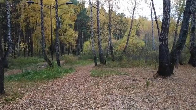 Обзорная экскурсия по ПАРКУ ЗАТЮМЕНСКИЙ! Где можно отдохнуть в Тюмени?