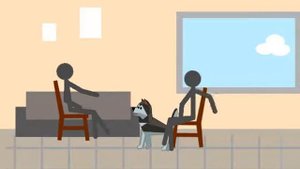 Зачем собаки