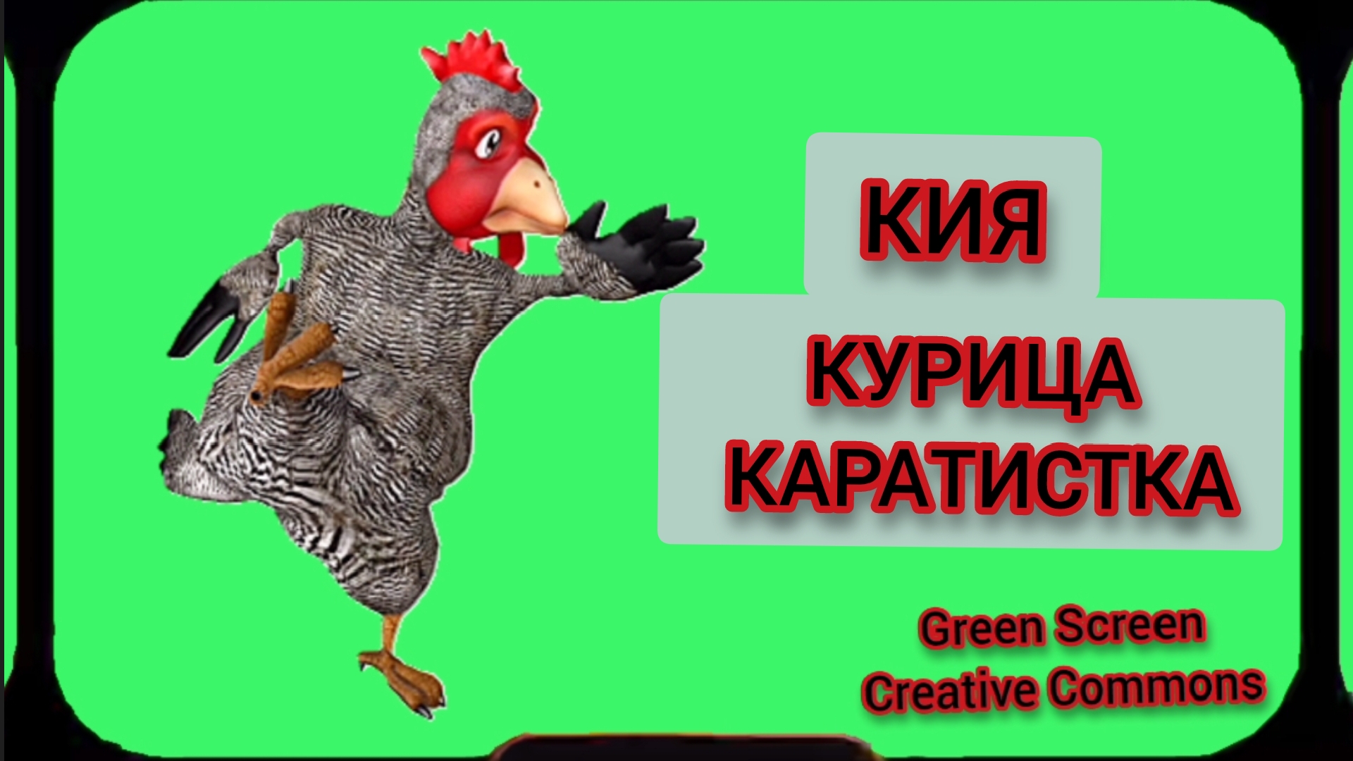 Курица каратист видео Green Screen футаж Хромакей анимация на зелёном фоне