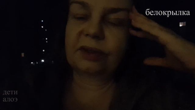 Как избавиться от вредителей комнатных растений: белокрылка, трипс, паутинный клещ // Дети Алоэ смотреть онлайн