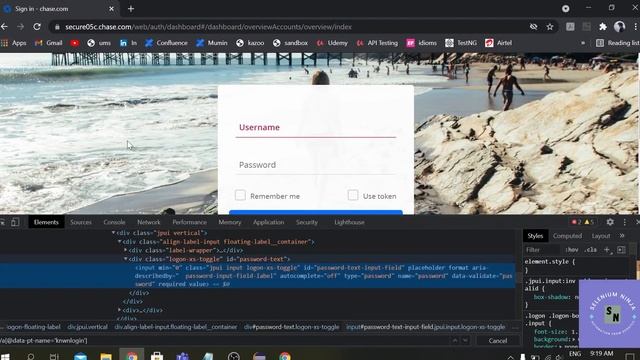 Handle Frames in Selenium | Selenium Ninja