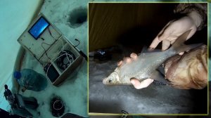Зимняя рыбалка с ночёвкой - 4. Подводная съёмка с ИК подсветкой