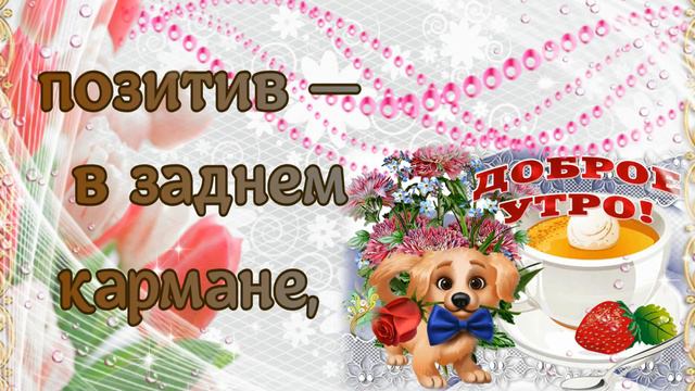 Пусть успех будет в правом кармане, а позитив в заднем кармане! смотреть онлайн